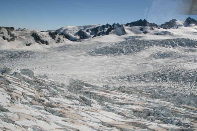 Nieuw-Zeeland 2011 - 1524